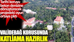 Validebağ korusunda katliama hazırlık.