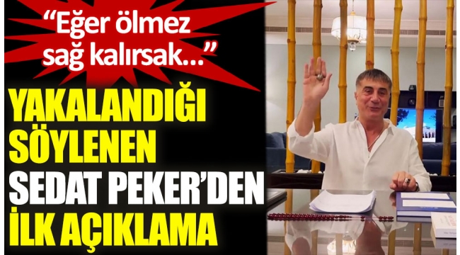 SEDAT PEKER GERİ DÖNDÜ...
