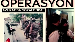 Sedat Peker suç örgütüne operasyon! Gözaltılar var...