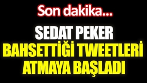 Sedat Peker bahsettiği tweetleri atmaya başladı