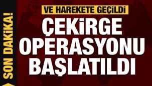 Bakanlıktan son dakika: Çekirge operasyonu başlatıldı
