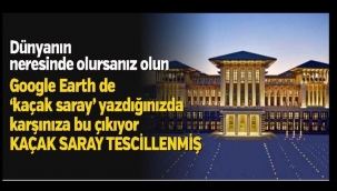 Danıştaydan Erdoğanı kızdıracak karar