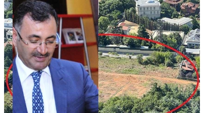 Ak Partili Mustafa Kara, Cumhurbaşkanı Erdoğanın evinin önündeki ağaçları kesti
