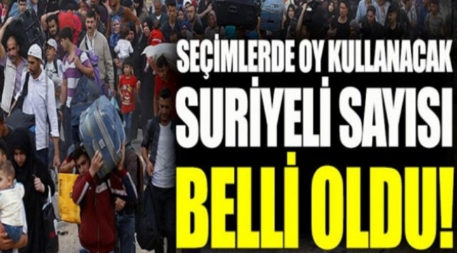 Süleyman Soylu Suriyeli seçmen sayısını açıkladı