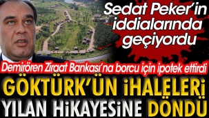 Demirören'in kredi borcu: Göktürk arazileri TOKİ'ye geçti
