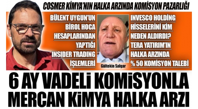 6 ay vadeli komisyonla Mercan Kimya halka arzı