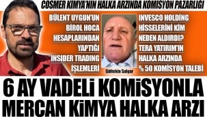 6 ay vadeli komisyonla Mercan Kimya halka arzı