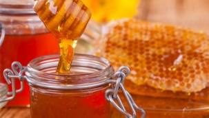 Türk balına sahtecilik vetosu