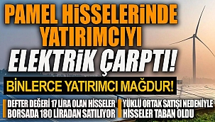 Pamel hisselerinde yatırımcıyı elektrik çarptı!