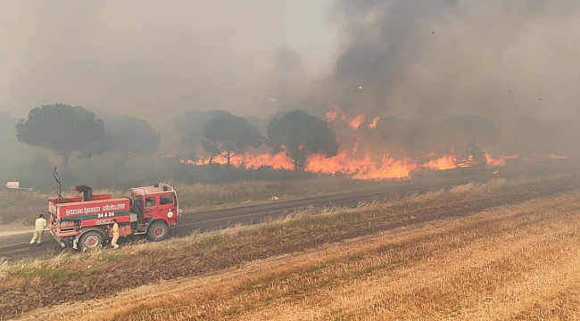 AKP'nin Silivri ilçe eski başkanı yangın çıkardığı için tutuklandı 