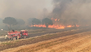 AKP'nin Silivri ilçe eski başkanı yangın çıkardığı için tutuklandı 