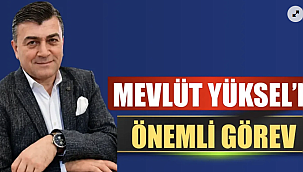 Mevlüt Yüksel SON TV Genel Yayın Yönetmeni oldu