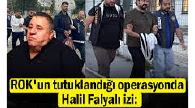 ROK'un tutuklandığı operasyonda Halil Falyalı izi: 'WOLF*' ifşa oldu
