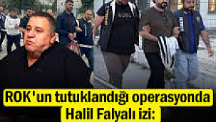 ROK'un tutuklandığı operasyonda Halil Falyalı izi: 'WOLF*' ifşa oldu